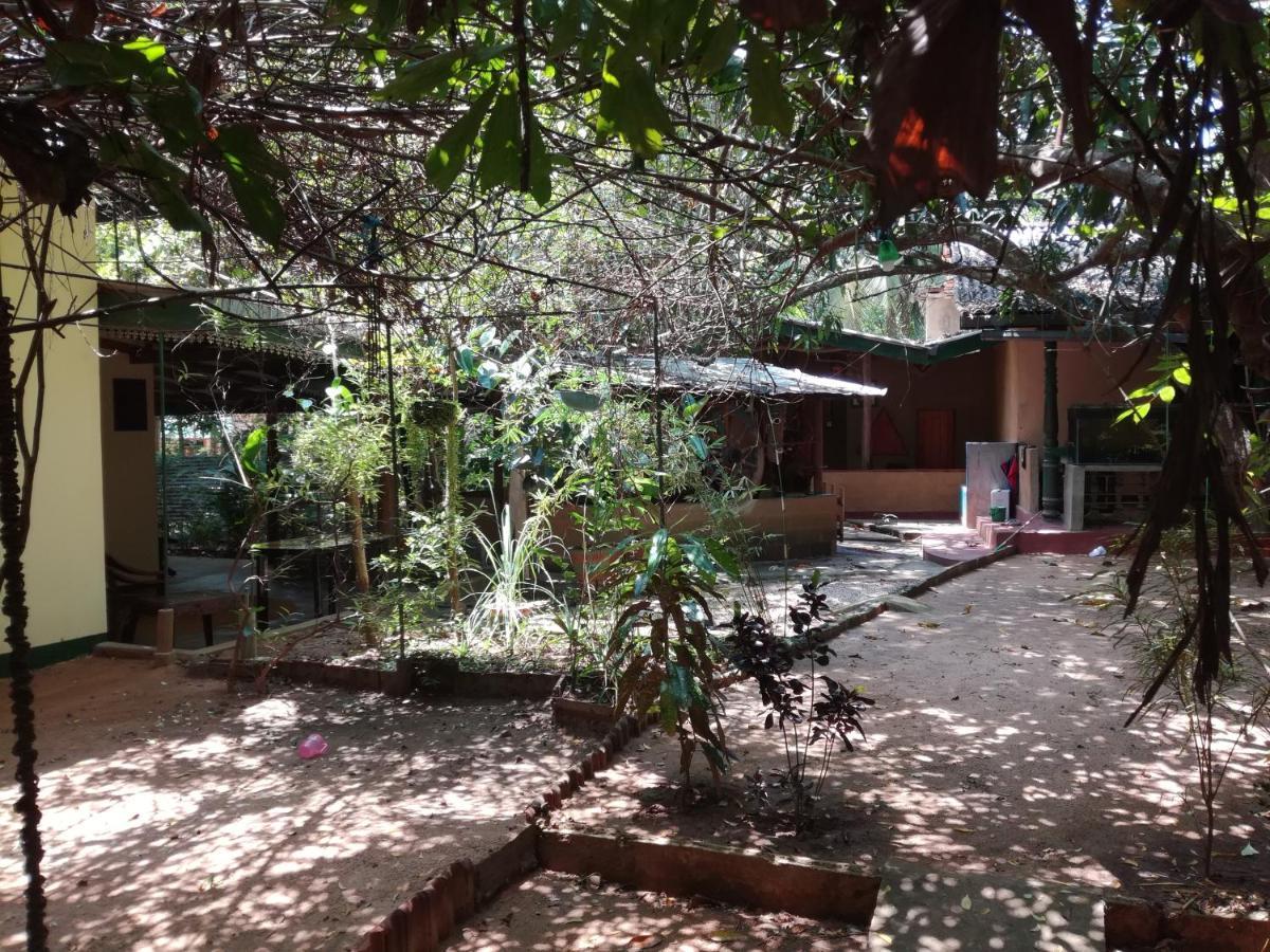 Sigiriya Freedom Lodge Dambulla Bagian luar foto