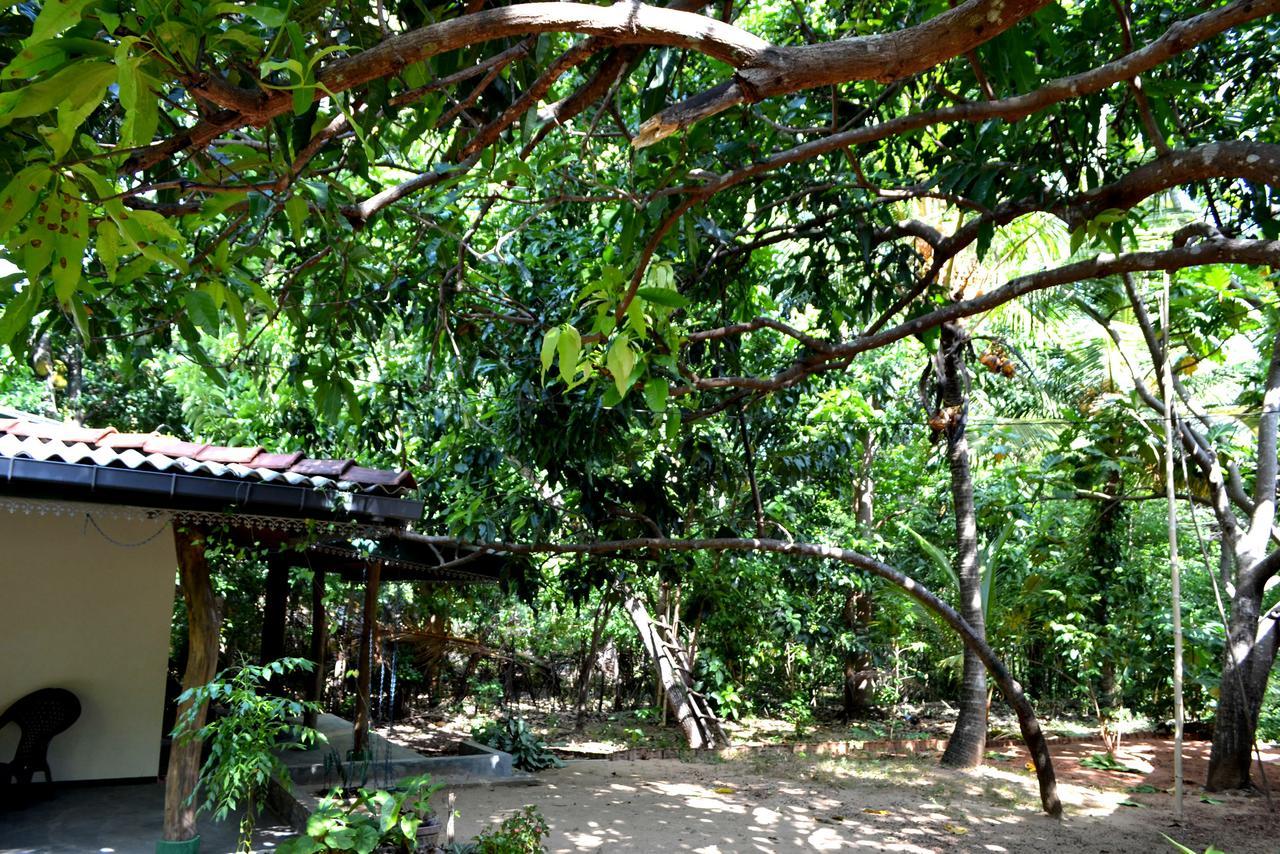 Sigiriya Freedom Lodge Dambulla Bagian luar foto