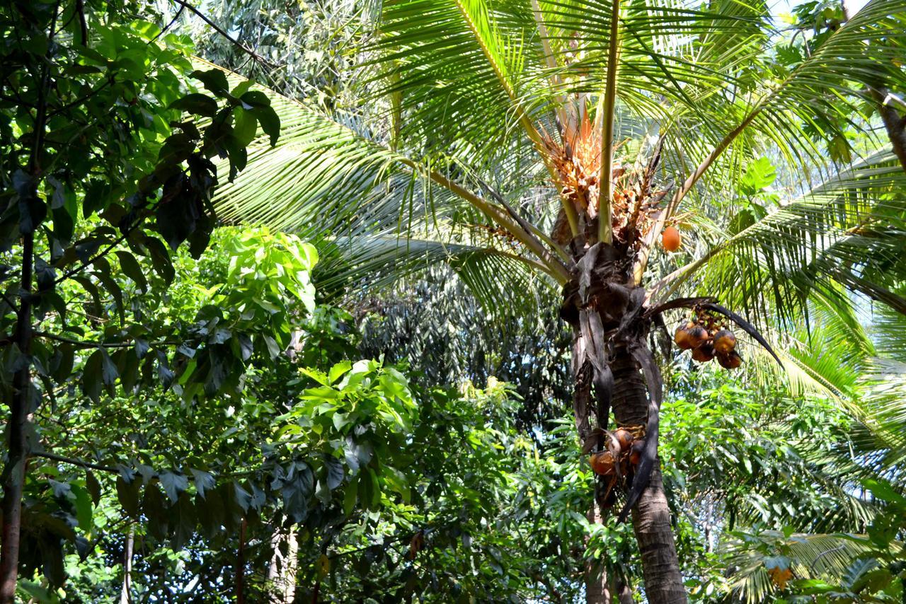 Sigiriya Freedom Lodge Dambulla Bagian luar foto