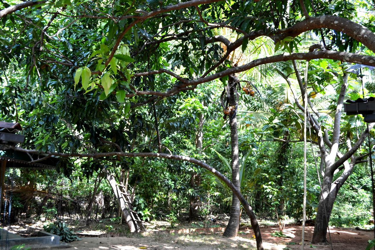Sigiriya Freedom Lodge Dambulla Bagian luar foto