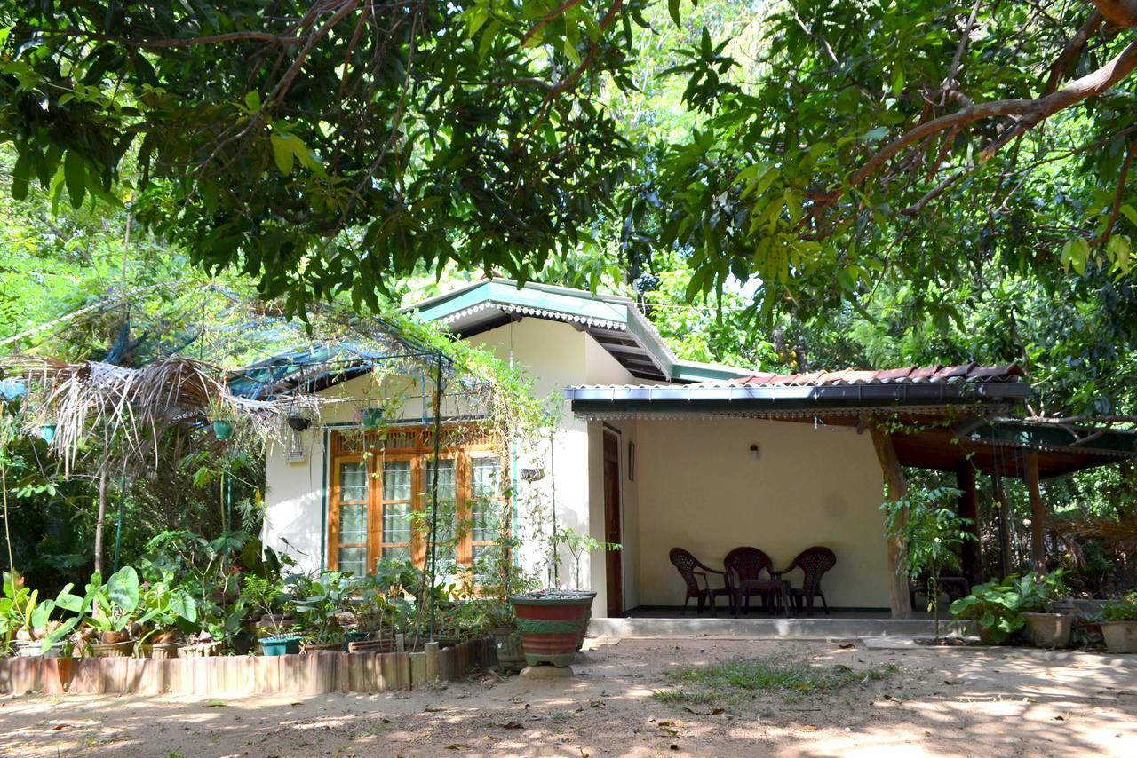 Sigiriya Freedom Lodge Dambulla Bagian luar foto