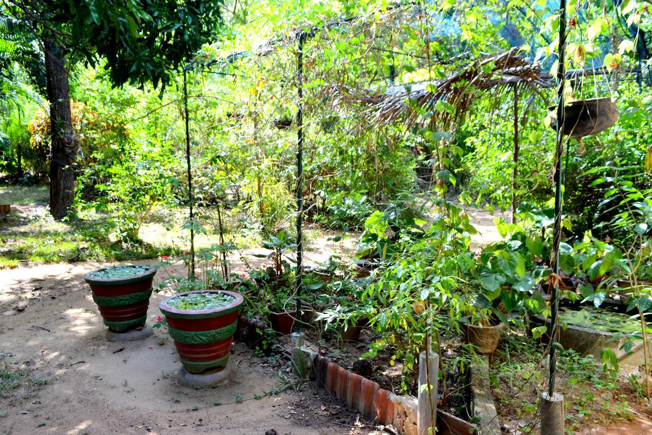 Sigiriya Freedom Lodge Dambulla Bagian luar foto