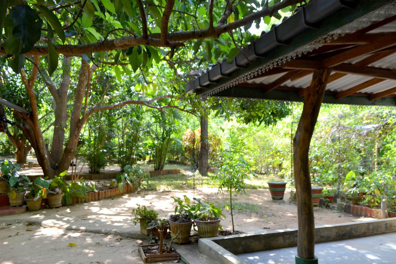 Sigiriya Freedom Lodge Dambulla Bagian luar foto