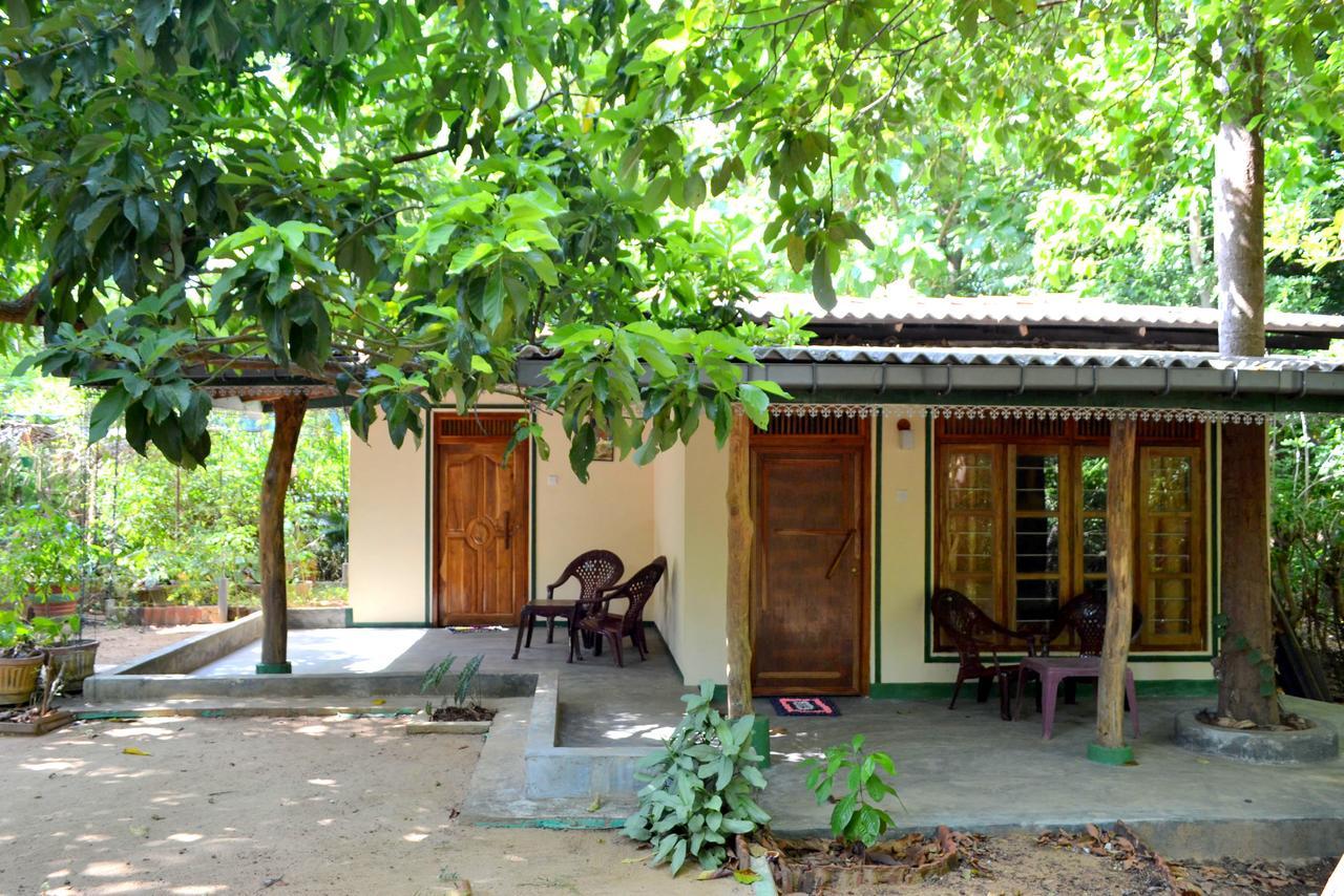 Sigiriya Freedom Lodge Dambulla Bagian luar foto